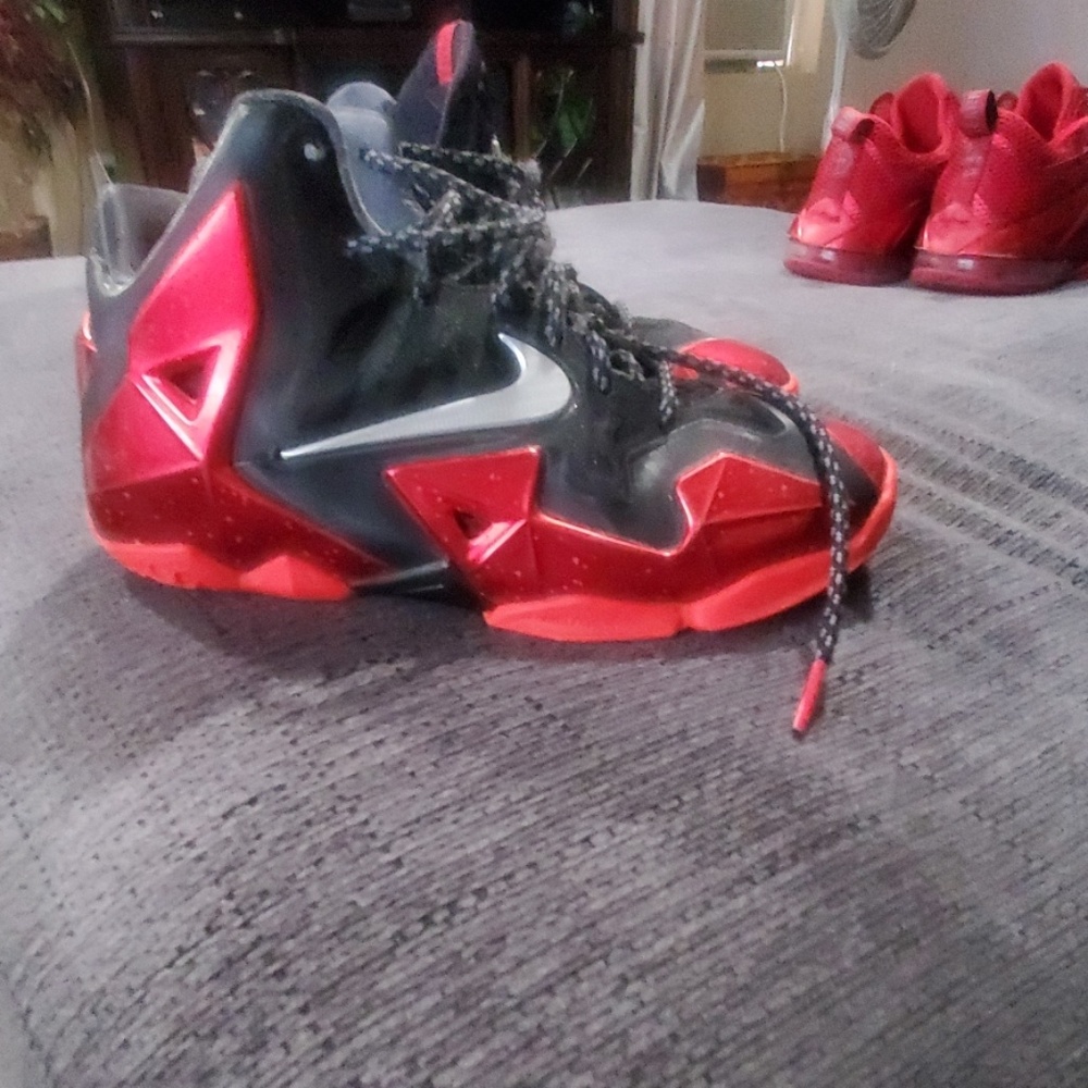 Nike lebron 11 "kings pride "